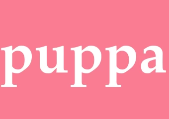 Synonym puppa
