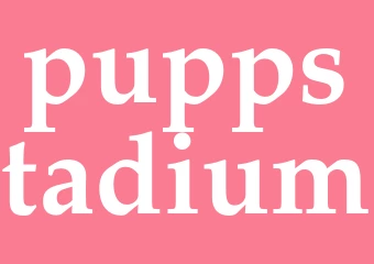 Synonym puppstadium