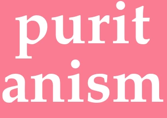 Synonym puritanism