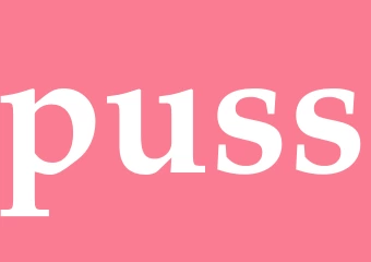 Synonym puss