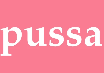 Synonym pussa