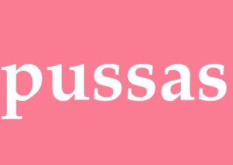Synonym pussas