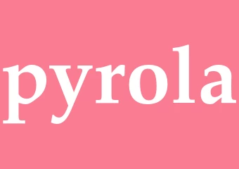 Synonym pyrola