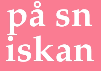 Synonym på sniskan