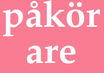 Synonym påkörare