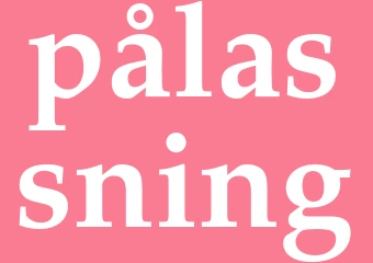 Synonym pålassning