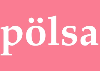 Synonym pölsa