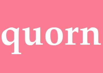 Synonym quorn