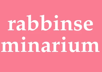 Synonym rabbinseminarium