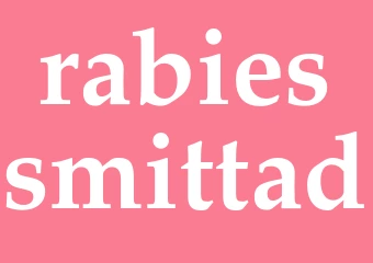 Synonym rabiessmittad