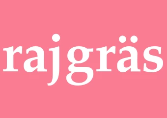 Synonym rajgräs
