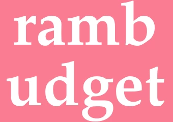Synonym rambudget