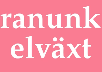 Synonym ranunkelväxt