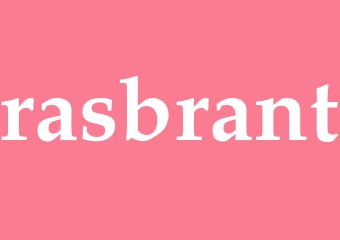 Synonym rasbrant