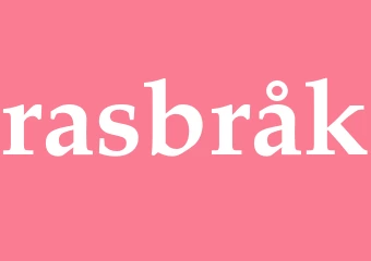 Synonym rasbråk