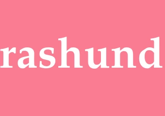 Synonym rashund