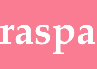 Synonym raspa