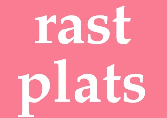 Synonym rastplats