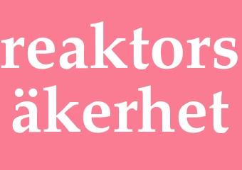 Synonym reaktorsäkerhet