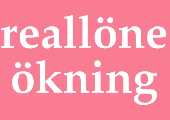 Synonym reallöneökning