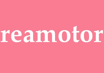 Synonym reamotor