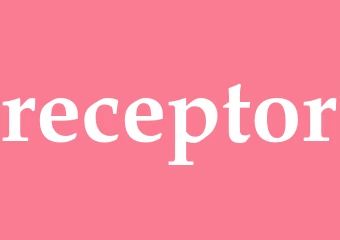 Synonym receptor