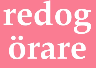 Synonym redogörare
