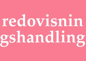 Synonym redovisningshandling