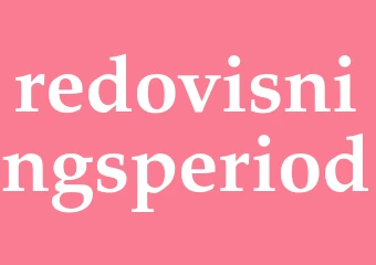 Synonym redovisningsperiod