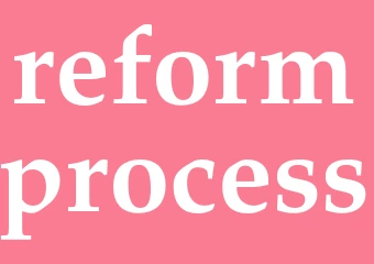 Synonym reformprocess