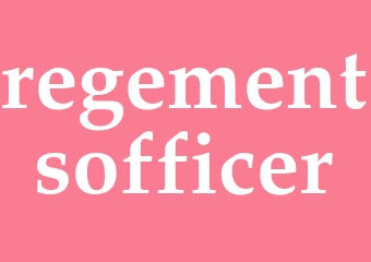 Synonym regementsofficer