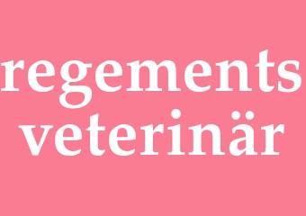 Synonym regementsveterinär