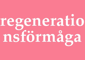 Synonym regenerationsförmåga