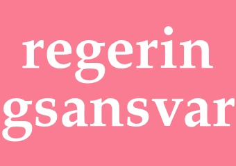 Synonym regeringsansvar