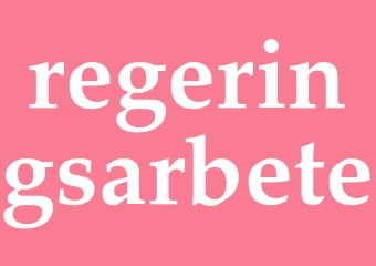 Synonym regeringsarbete