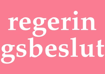 Synonym regeringsbeslut
