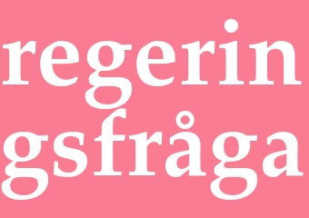 Synonym regeringsfråga