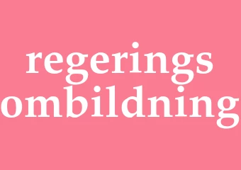 Synonym regeringsombildning