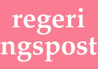 Synonym regeringspost