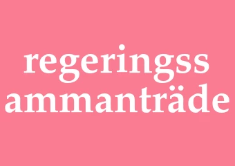 Synonym regeringssammanträde