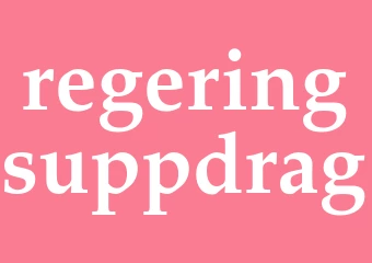 Synonym regeringsuppdrag