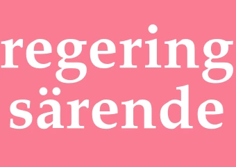 Synonym regeringsärende