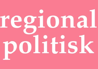 Synonym regionalpolitisk