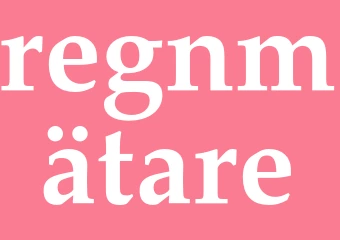 Synonym regnmätare