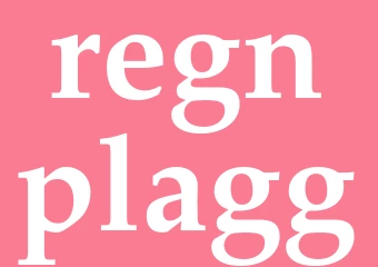 Synonym regnplagg
