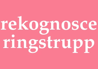 Synonym rekognosceringstrupp