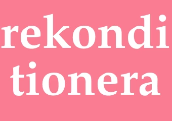 Synonym rekonditionera