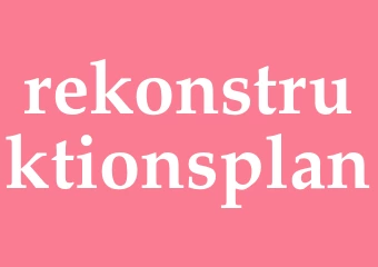 Synonym rekonstruktionsplan