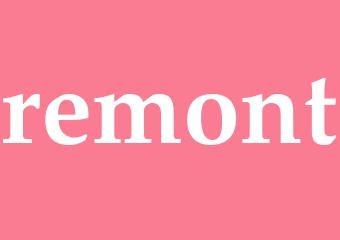 Synonym remont