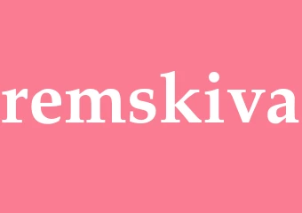 Synonym remskiva